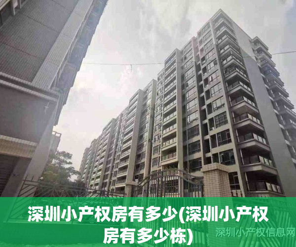 深圳小产权房有多少(深圳小产权房有多少栋)