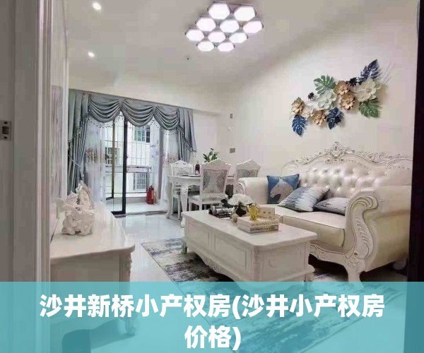 沙井新桥小产权房(沙井小产权房价格)