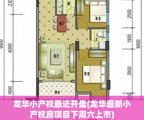 龙华小产权最近开盘(龙华最新小产权房项目下周六上市)