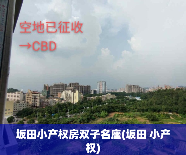 坂田小产权房双子名座(坂田 小产权)
