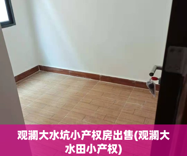 观澜大水坑小产权房出售(观澜大水田小产权)