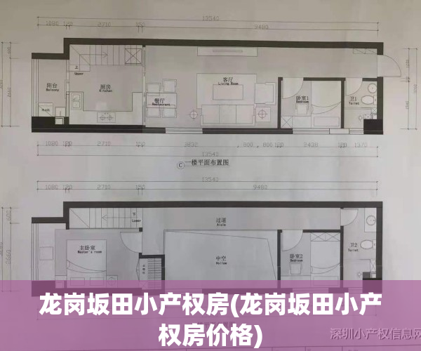 龙岗坂田小产权房(龙岗坂田小产权房价格)