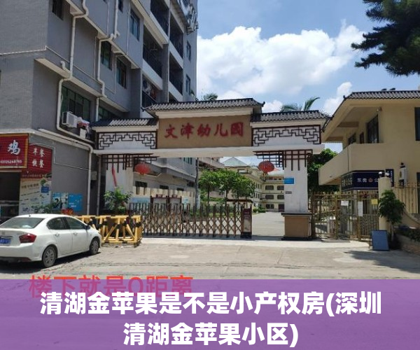 清湖金苹果是不是小产权房(深圳清湖金苹果小区)