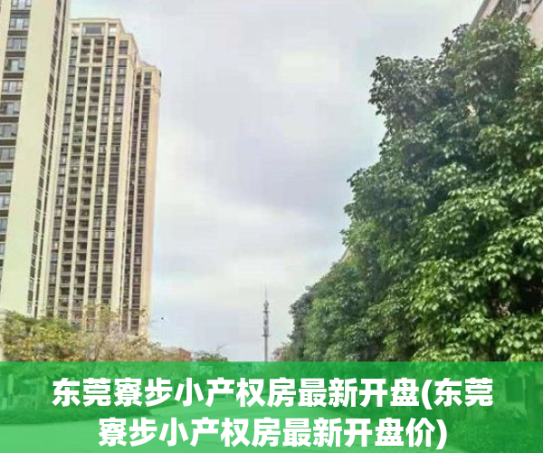 东莞寮步小产权房最新开盘(东莞寮步小产权房最新开盘价)