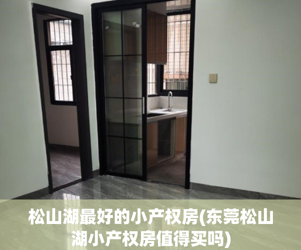 松山湖最好的小产权房(东莞松山湖小产权房值得买吗)