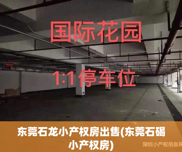 东莞石龙小产权房出售(东莞石碣小产权房)