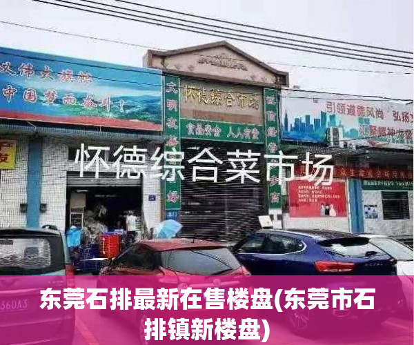 东莞石排最新在售楼盘(东莞市石排镇新楼盘)