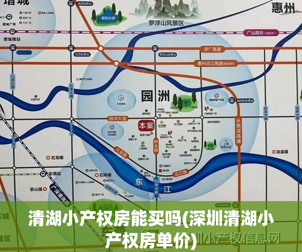 清湖小产权房能买吗(深圳清湖小产权房单价)