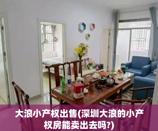大浪小产权出售(深圳大浪的小产权房能卖出去吗?)