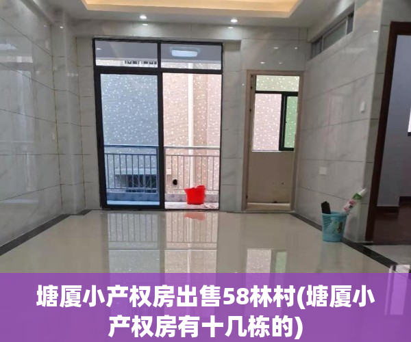 塘厦小产权房出售58林村(塘厦小产权房有十几栋的)