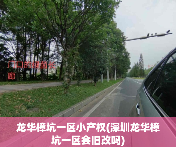 龙华樟坑一区小产权(深圳龙华樟坑一区会旧改吗)