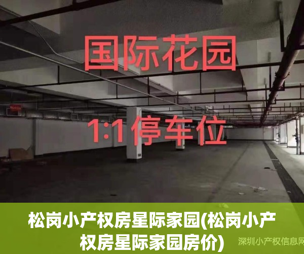 松岗小产权房星际家园(松岗小产权房星际家园房价)