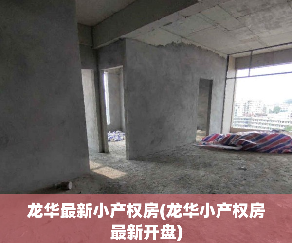 龙华最新小产权房(龙华小产权房最新开盘)
