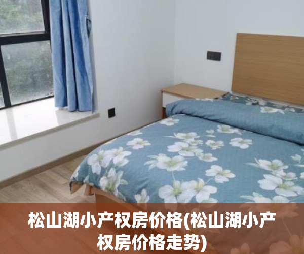 松山湖小产权房价格(松山湖小产权房价格走势)