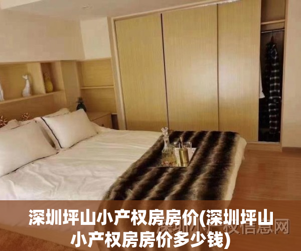 深圳坪山小产权房房价(深圳坪山小产权房房价多少钱)