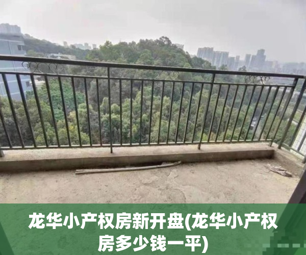 龙华小产权房新开盘(龙华小产权房多少钱一平)