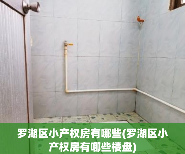 罗湖区小产权房有哪些(罗湖区小产权房有哪些楼盘)