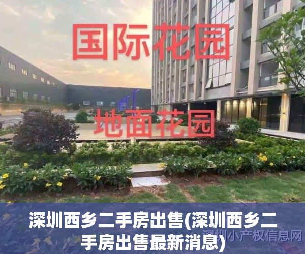 深圳西乡二手房出售(深圳西乡二手房出售最新消息)