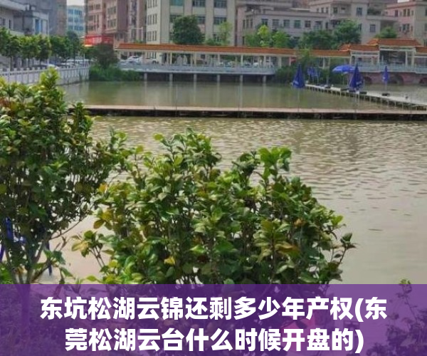 东坑松湖云锦还剩多少年产权(东莞松湖云台什么时候开盘的)