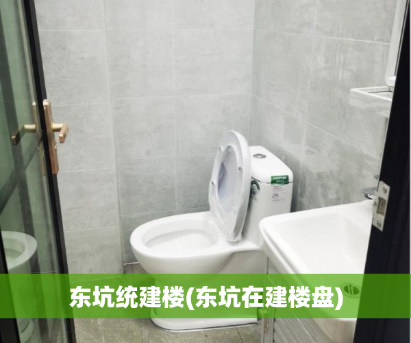 东坑统建楼(东坑在建楼盘)