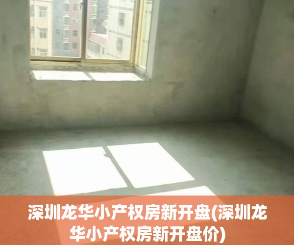 深圳龙华小产权房新开盘(深圳龙华小产权房新开盘价)