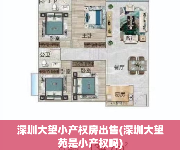 深圳大望小产权房出售(深圳大望苑是小产权吗)