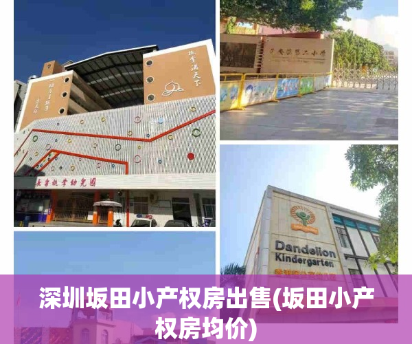 深圳坂田小产权房出售(坂田小产权房均价)