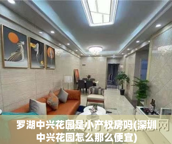 罗湖中兴花园是小产权房吗(深圳中兴花园怎么那么便宜)