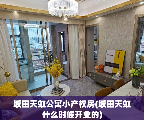 坂田天虹公寓小产权房(坂田天虹什么时候开业的)