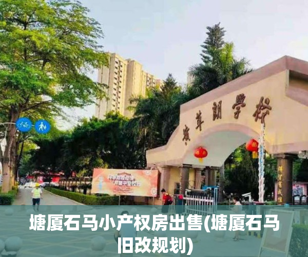 塘厦石马小产权房出售(塘厦石马旧改规划)