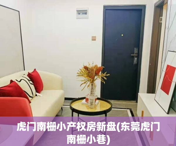 虎门南栅小产权房新盘(东莞虎门南栅小巷)