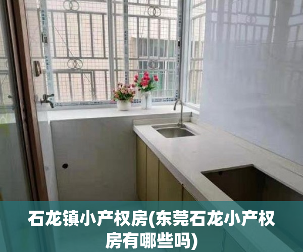 石龙镇小产权房(东莞石龙小产权房有哪些吗)