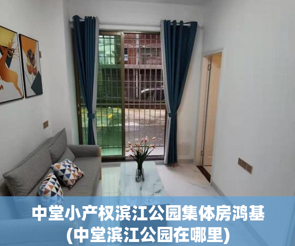 中堂小产权滨江公园集体房鸿基(中堂滨江公园在哪里)