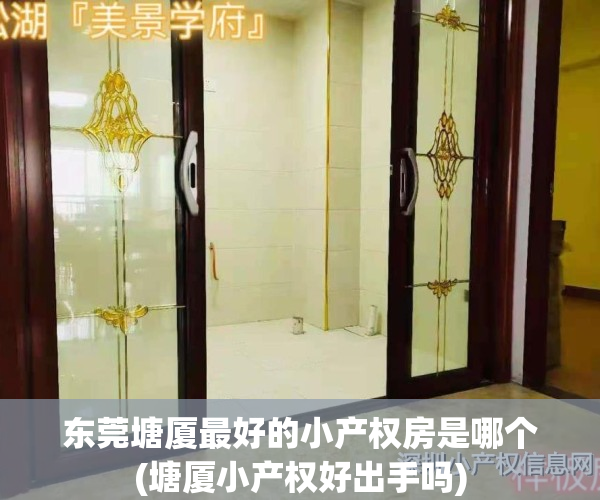 东莞塘厦最好的小产权房是哪个(塘厦小产权好出手吗)