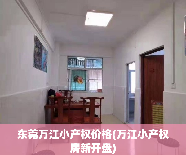 东莞万江小产权价格(万江小产权房新开盘)