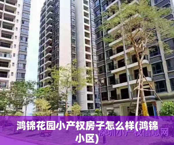 鸿锦花园小产权房子怎么样(鸿锦小区)