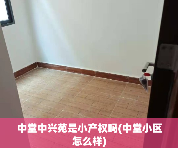 中堂中兴苑是小产权吗(中堂小区怎么样)