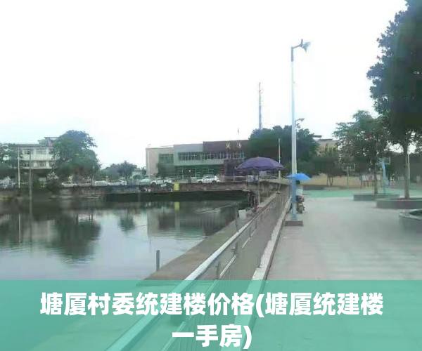 塘厦村委统建楼价格(塘厦统建楼一手房)