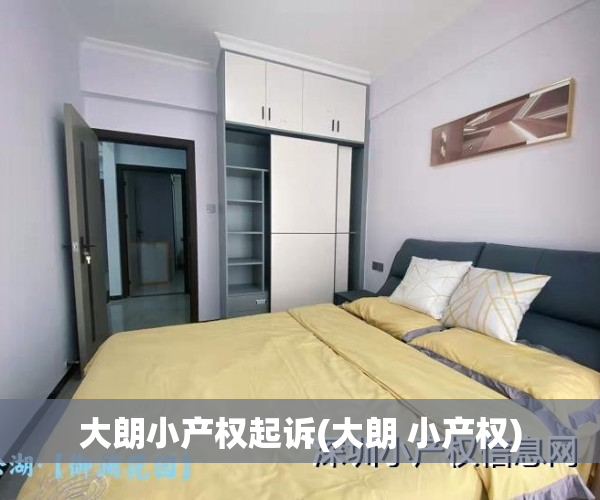 大朗小产权起诉(大朗 小产权)
