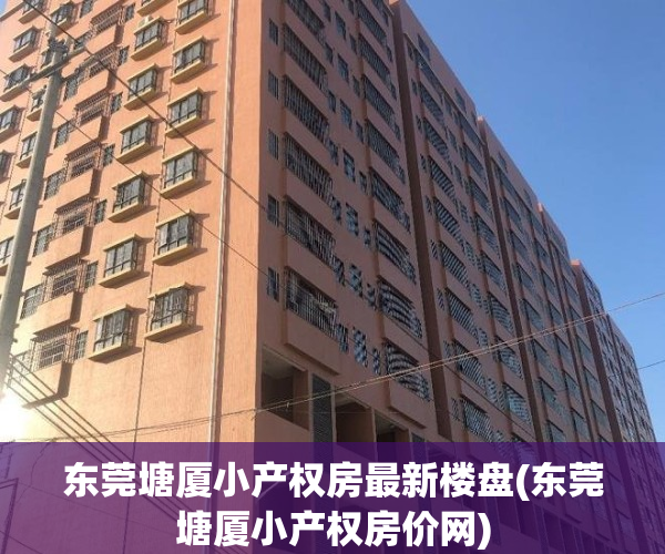 东莞塘厦小产权房最新楼盘(东莞塘厦小产权房价网)