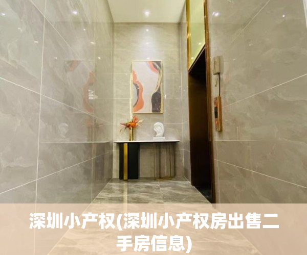深圳小产权(深圳小产权房出售二手房信息)