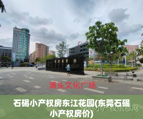 石碣小产权房东江花园(东莞石碣小产权房价)