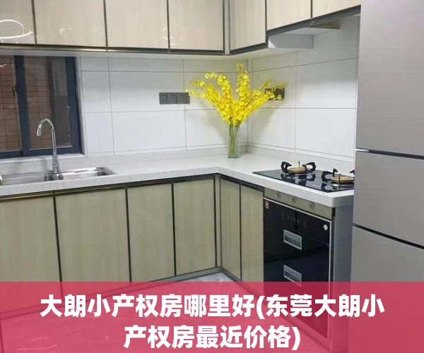大朗小产权房哪里好(东莞大朗小产权房最近价格)