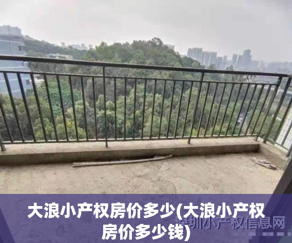 大浪小产权房价多少(大浪小产权房价多少钱)