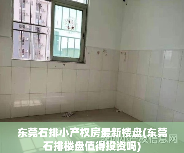 东莞石排小产权房最新楼盘(东莞石排楼盘值得投资吗)