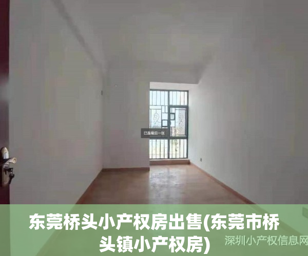 东莞桥头小产权房出售(东莞市桥头镇小产权房)