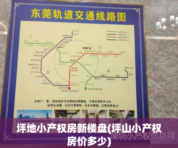 坪地小产权房新楼盘(坪山小产权房价多少)
