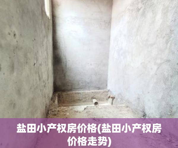 盐田小产权房价格(盐田小产权房价格走势)