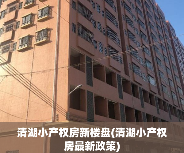 清湖小产权房新楼盘(清湖小产权房最新政策)
