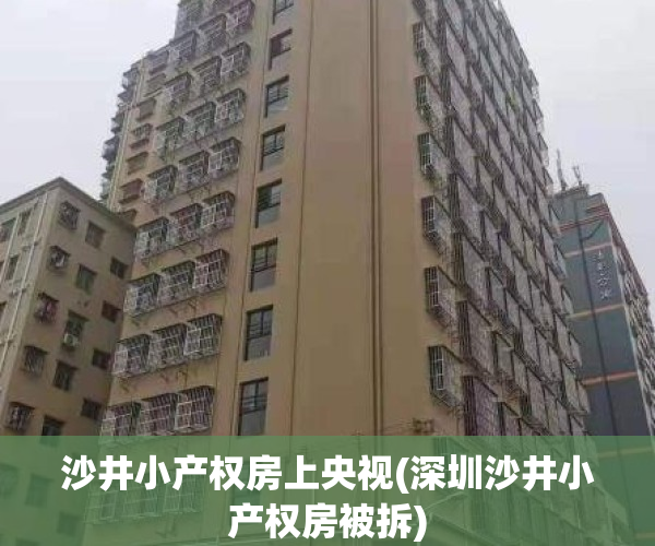 沙井小产权房上央视(深圳沙井小产权房被拆)